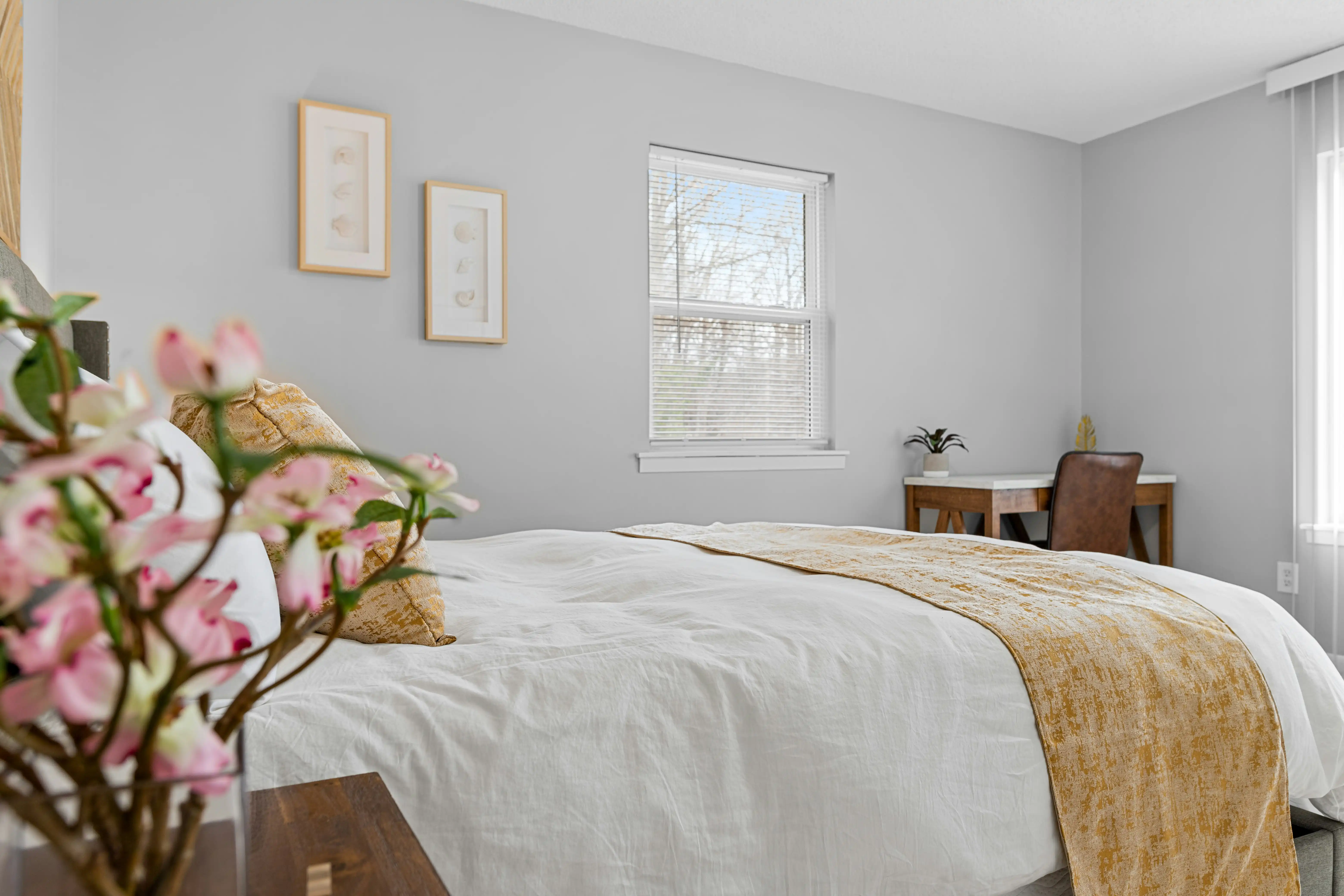 Interior Painting Services